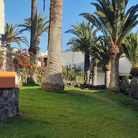Primavera Olga With Free Wifi * Arona (Tenerife)